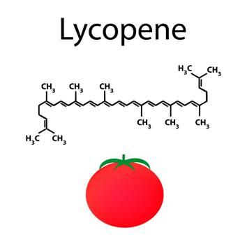 Lycopene- Giúp cải thiện tốt tình trạng u xơ tuyến tiền liệt