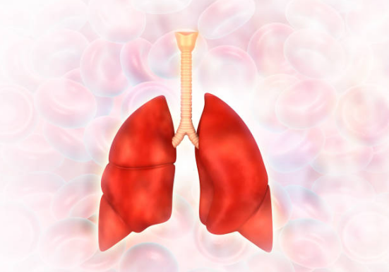 Giải độc phổi giúp lá phổi khỏe mạnh trở lại
