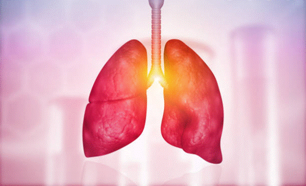 Giải độc phổi là làm sạch, loại bỏ độc tố, phục hồi chức năng phổi