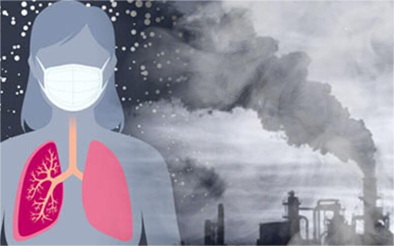 Bộ 3 thảo dược tự nhiên giúp bảo vệ phổi khỏi ô nhiễm không khí