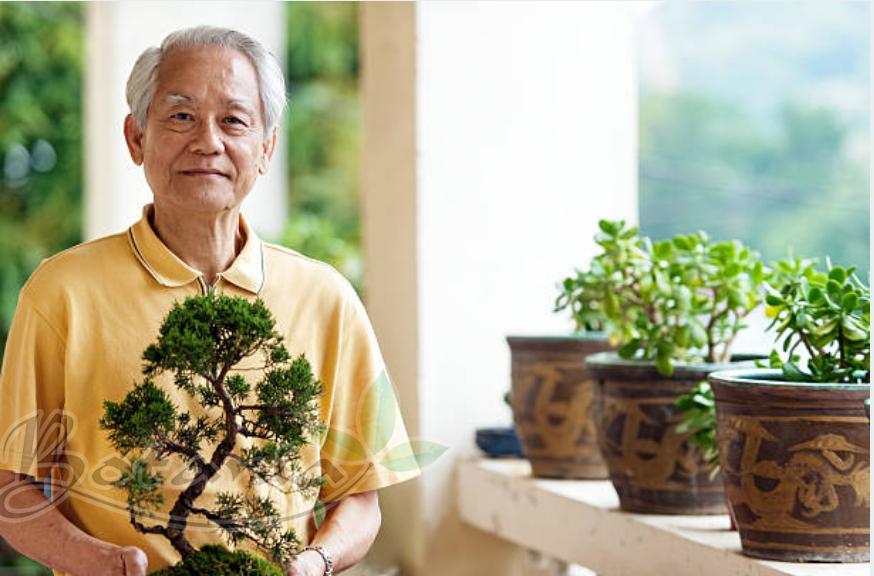 Quảng Nam: BoniDetox giúp cụ ông 83 tuổi chia tay bệnh viêm phế quản mãn tính