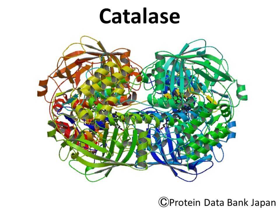 Enzyme Catalase trong BoniHair, hướng đi mới của khoa học giúp chia tay với thuốc nhuộm tóc