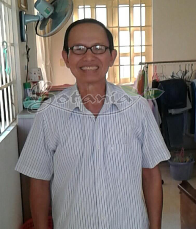 Hồ Chí Minh: Bỏ hết thuốc tây, phục hồi sức khỏe nhờ BoniSleep